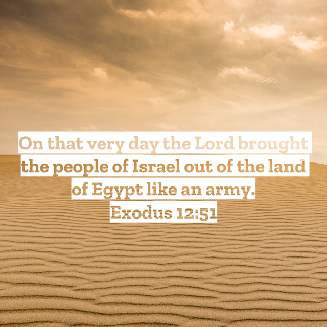 Michelle-Fahring-Open-Our-Bibles-with-mfahring-podcast_exodus 10-12