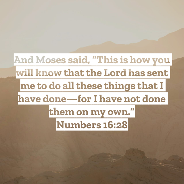 Michelle-Fahring-Open-Our-Bibles-with-mfahring-podcast_numbers 16-18 Michelle-Fahring-Open-Our-Bibles-with-mfahring-podcast_numbers 16-18