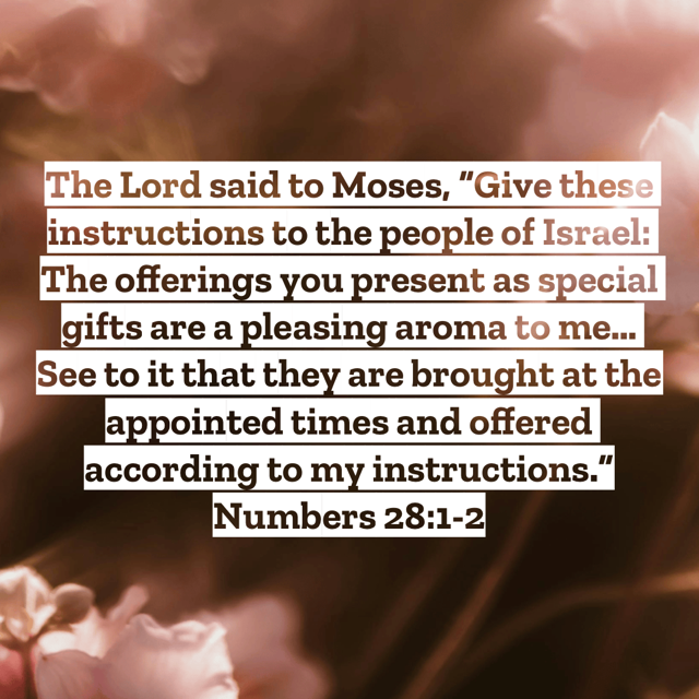 Michelle-Fahring-Open-Our-Bibles-with-mfahring-podcast_numbers 28-30